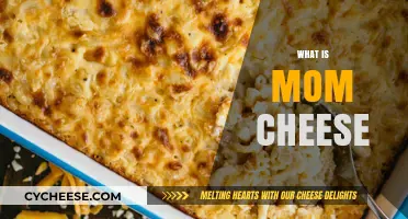 Discover the Creamy Delight: What is Mom Cheese and Why It's a Must-Try