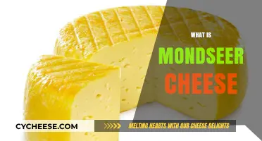 Discover the Rich Flavor and History of Mondseer Cheese
