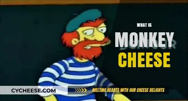 Unveiling the Mystery: What is Monkey Cheese and Its Origins?