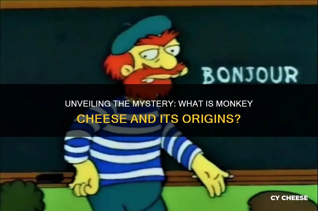 what is monkey cheese