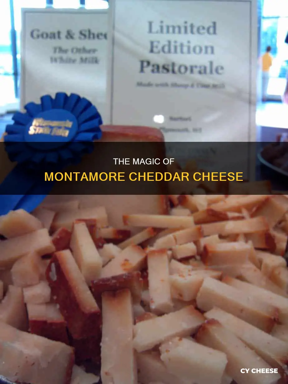 what is montamore cheddar cheese