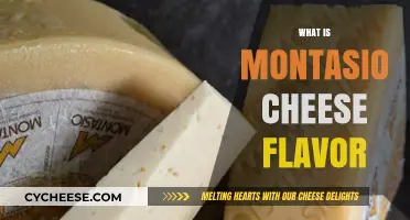 Discover the Unique Flavor Profile of Montasio Cheese