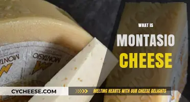 Discover Montasio Cheese: Origins, Flavor, and Culinary Uses Explained