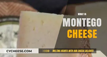 Discover the Rich Flavor and History of Montego Cheese