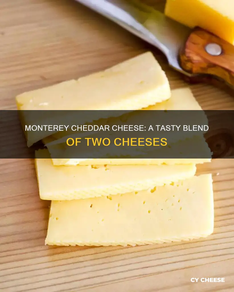 what is monterey cheddar cheese