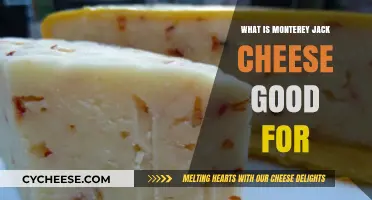 Monterey Jack Cheese: Versatile Uses, Recipes, and Health Benefits Explained