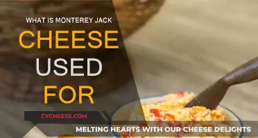 Explore the Versatile Uses of Monterey Jack Cheese