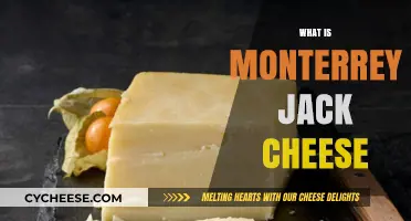 Discover the Creamy Delight of Monterrey Jack Cheese