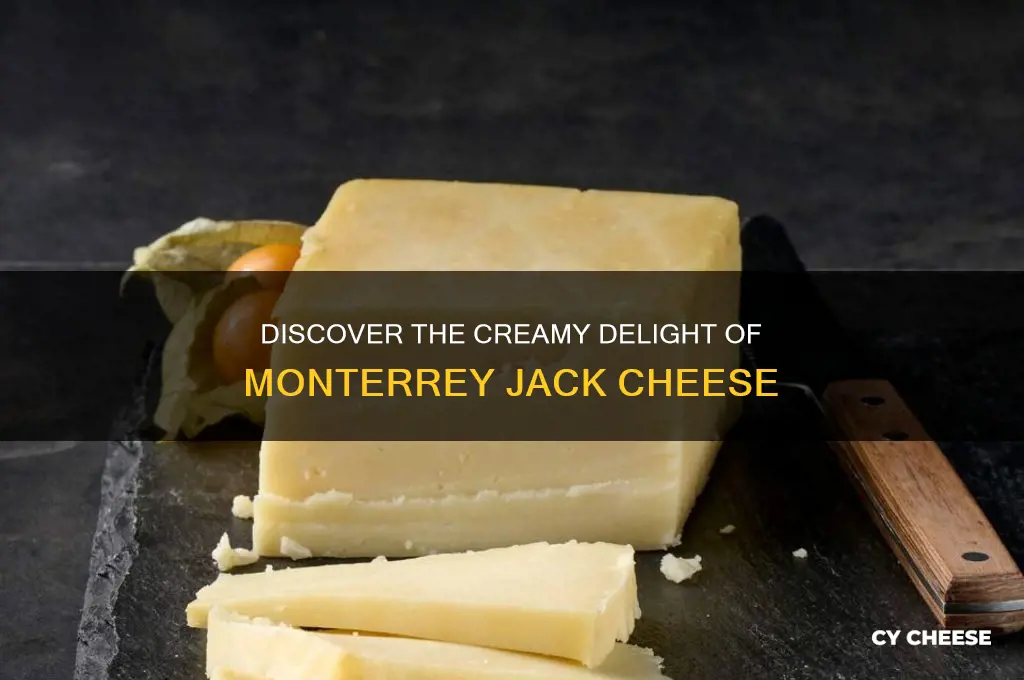 what is monterrey jack cheese