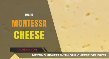 Discover the Rich Flavor and History of Montessa Cheese