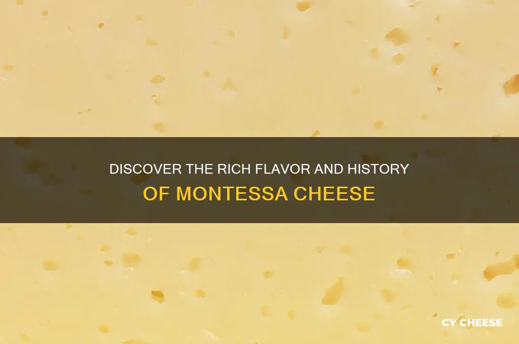 what is montessa cheese