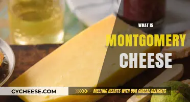 Discovering Montgomery Cheese: A Rich, Creamy British Classic Explained