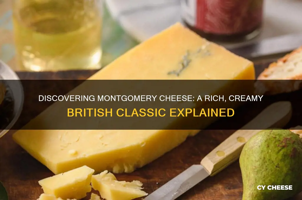 what is montgomery cheese