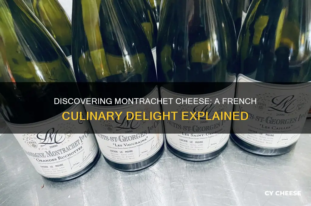 what is montrachet cheese