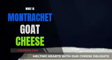 Unveiling the Secrets of Montchevre Goat Cheese