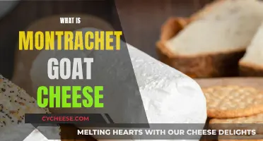 Montrachet Goat Cheese: A French Delicacy Explained