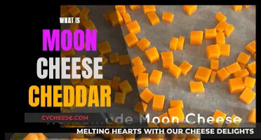 Moon Cheese Cheddar: A Cosmic Snack's Cosmic Story