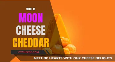 Moon Cheese Cheddar: Is It Really Out of This World?