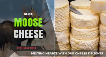 Discovering Moose Cheese: Unique Flavor, Production, and Culinary Uses