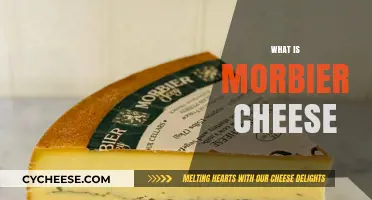 Discover Morbier Cheese: Origins, Flavor, and Culinary Uses Explained