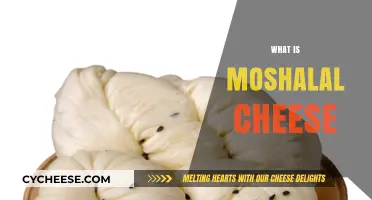 Discovering Moshalal Cheese: Origins, Flavor, and Culinary Uses Explained