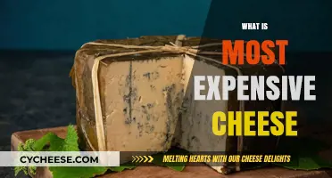 The World's Priciest Cheese: A Luxurious and Rare Delicacy