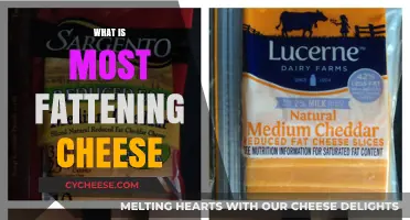 The Fattening Truth: Which Cheese Packs the Most Calories?