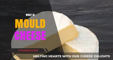 Understanding Mould Cheese: Origins, Varieties, and Culinary Uses Explained