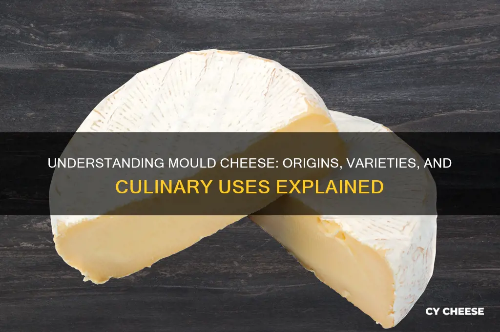 what is mould cheese