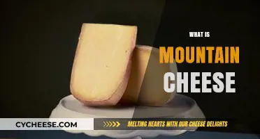 Exploring Mountain Cheese: Origins, Flavors, and Unique Characteristics