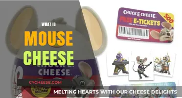 Unraveling the Mystery: What is Mouse Cheese and Why It Matters