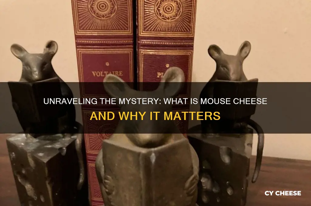 what is mouse cheese