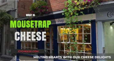 Unveiling Mousetrap Cheese: Origins, Uses, and Surprising Facts Explained
