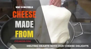 Unveiling Mozzarella's Origin: Milk's Magical Transformation