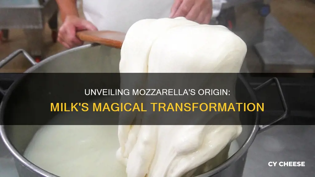 what is mozerilla cheese made from