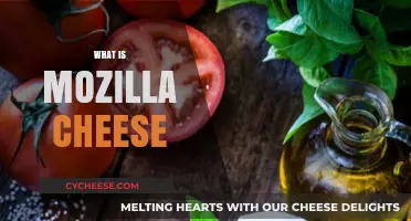 Unveiling Mozilla Cheese: A Fun Twist on Browser History