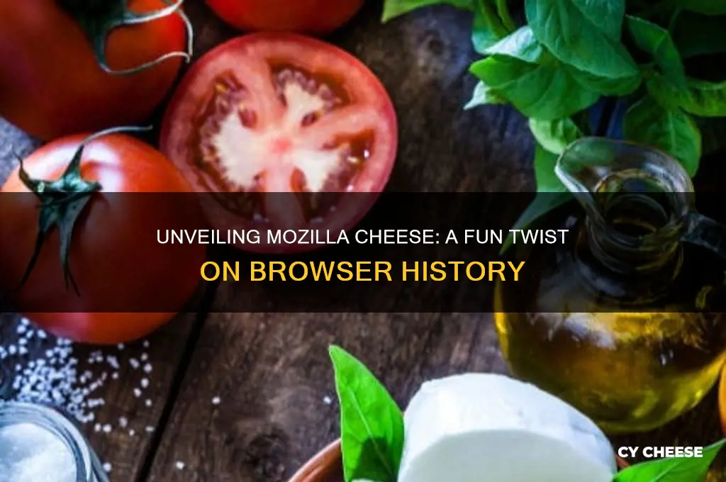 what is mozilla cheese