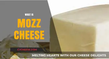 Discover the Creamy Delight: What is Mozzarella Cheese?