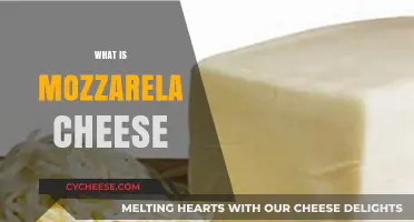 Discover the Creamy Delight: What is Mozzarella Cheese?