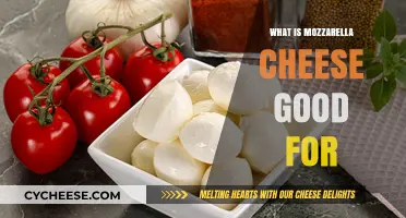 Mozzarella Cheese Benefits: Nutrition, Uses, and Delicious Recipes Explained