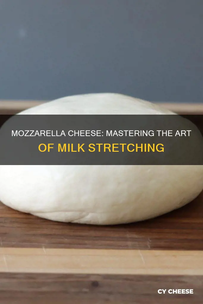 what is mozzarella cheese made off