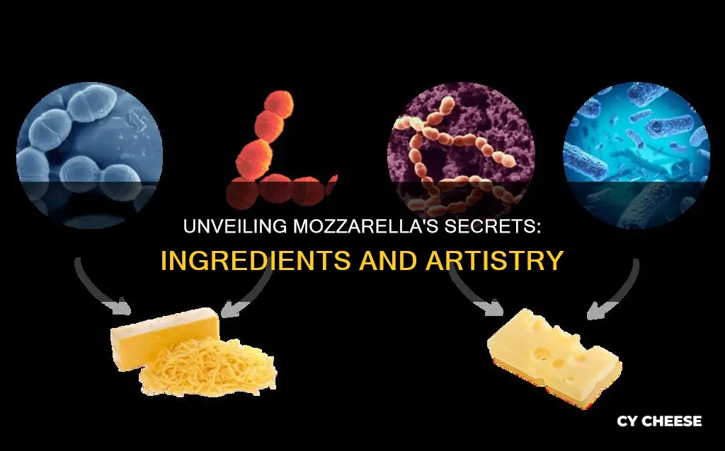 what is mozzzarella cheese made of