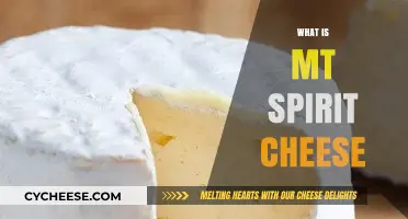 Discover the Unique Flavor and Story of Mt Spirit Cheese