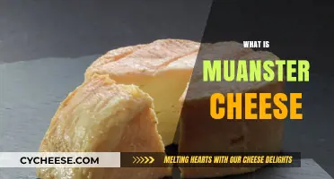 Discover the Rich Flavor and History of Munster Cheese