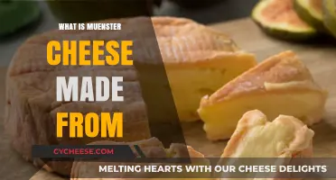 Unveiling the Secrets: Münster Cheese's Delicious Origin