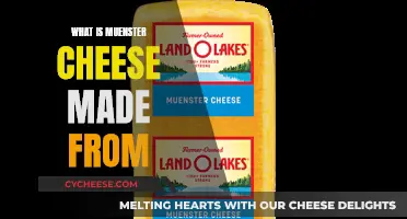 Muenster Cheese: A Simple Recipe for a Delicious Treat