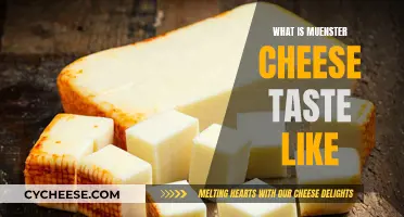 Muenster Cheese: A Mild, Buttery, and Slightly Tangy Taste