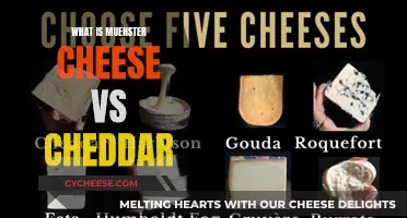 Muenster vs. Cheddar: Unraveling the Differences in Flavor and Texture