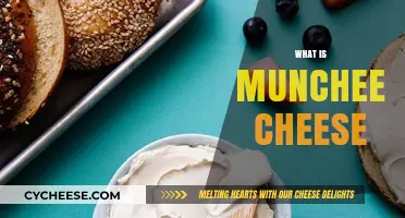 Discover the Creamy Delight: What is Munchee Cheese?