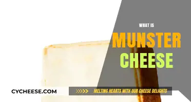 Discover the Rich, Nutty Flavor of Munster Cheese: A Guide